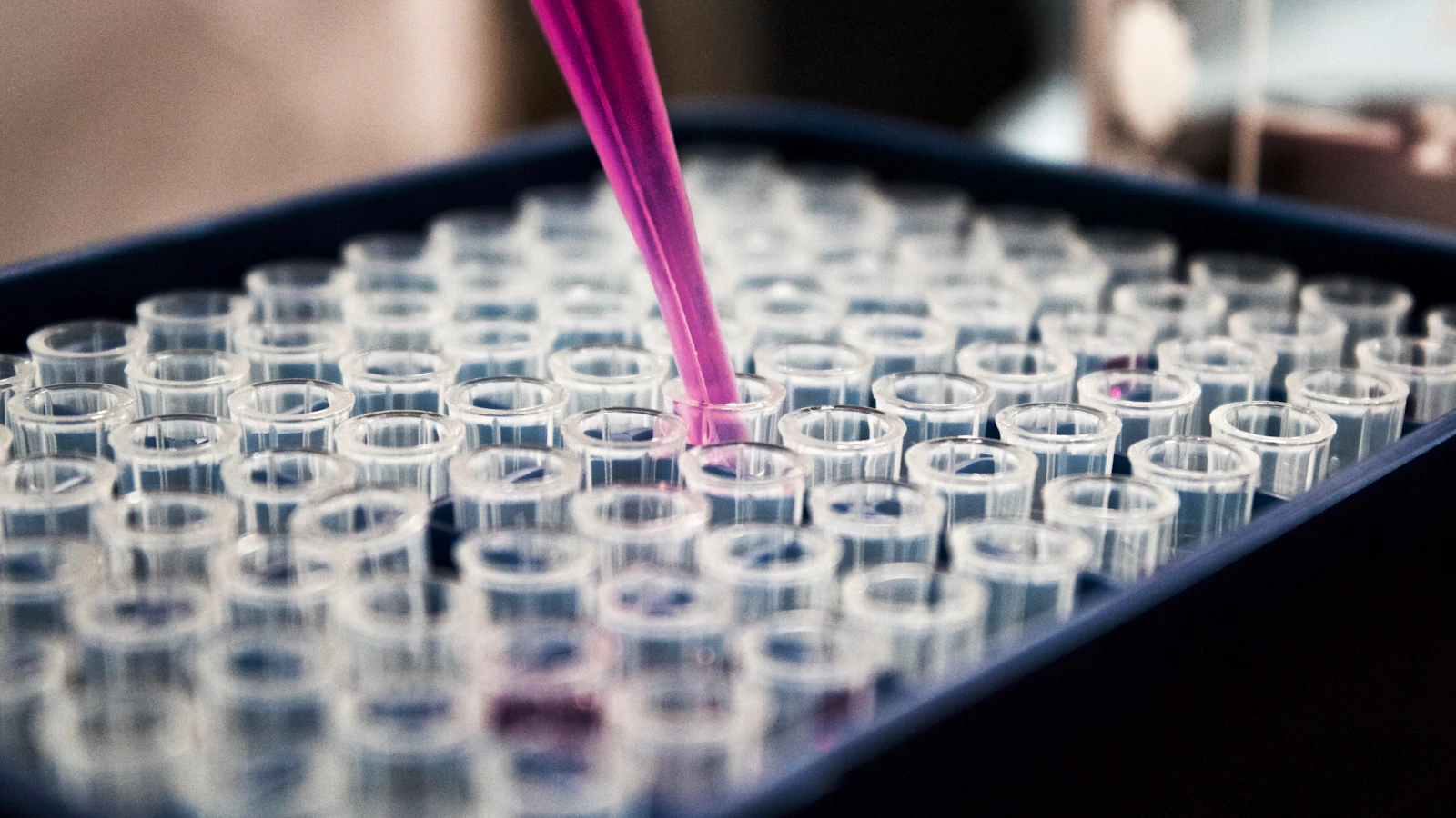 Pipetta e provette durante un lavoro di laboratorio.